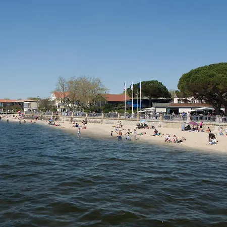 Les Libellules Andernos-les-Bains